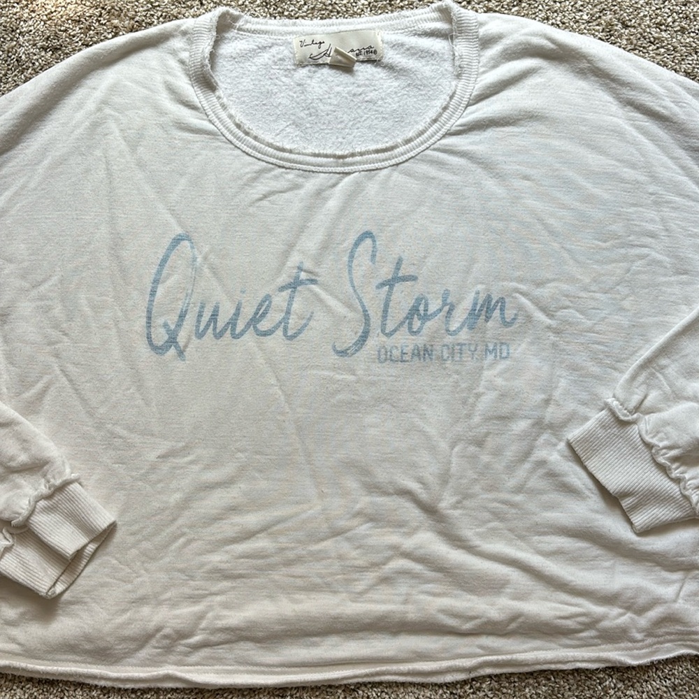 Quiet Storm Cropped Sweatshirt